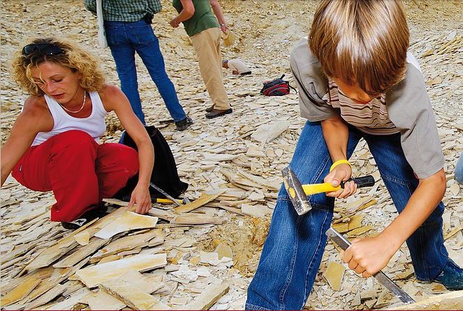 Besucher suchen Fossilien im Steinbruch Blumenberg